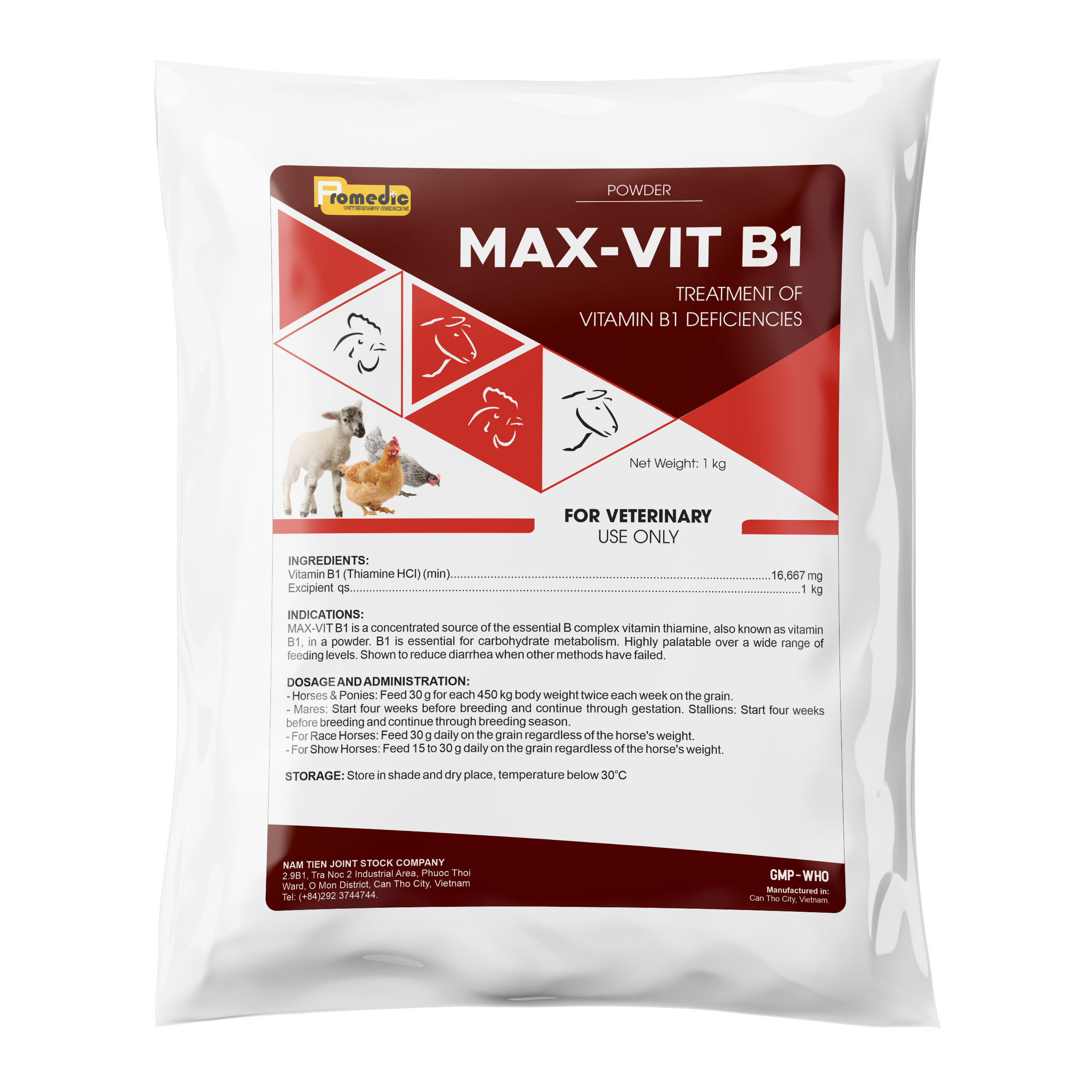 MAX-VIT-B1